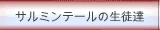 �T���~���e�[���̐��k�B
