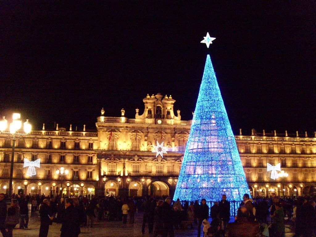 Vacaciones de Navidad en Salamanca