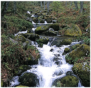 sierra de bejar